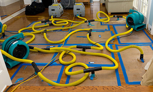 Professional Basement Flood Cleanup technician working in Middletown, KY